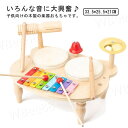 楽器 おもちゃ 玩具 赤ちゃん 幼児 子ども 知育玩具 木製 木のおもちゃ 太鼓 男の子 女の子 鉄琴 音楽 プレゼント 出産祝い 誕生日 組み立て簡単 音が出...