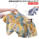 子供服 かっこいい 80 ハーフパンツ Tシャツ ジュニア 韓国 半パン 春 キッズ アメカジ セットアップ ハワイアン リゾート おしゃれ 子供 女の子 半袖 小学生 花柄 子供服 男の子 可愛い シャツ 流行 セットアップ 夏 73 アロハシャツ 90 100 110 120 短パン