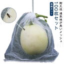 ネット 防虫 巾着袋 害虫鳥避け 鳥よけ網 果物袋 園芸ネット 桃 保護ネット 果樹用防鳥ネット 100枚セット メッシュ 鳥よけネット 鳩よけネット 果物保護バッグ 果実袋 栽培用 カラス対策 果物保護ネット イチゴ イチゴ 農業用 野菜保護 収穫 フルーツネット