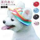 バイザー ドッグ おしゃれ UVケア キャップ 熱中症対策 日焼け対策 ウェア 犬服 夏バテ防止 日除 ワンちゃん帽子 ハット 耳穴あり 春 ペットウェア 日よけ ドッグハット 日除 夏 無地 紫外線対策 犬 暑さ対策 夏 ペット服 被り物 犬用 介護犬 犬用品(4)