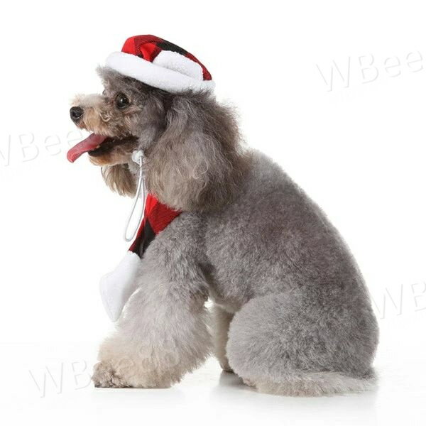 �ڥå��ѥޥե顼 ˹�� ���ꥹ�ޥ� �ӻ����� 2�����å� ������ ǭ ���硼���� ���������꡼ ������ ������� �İ��� ��� �������ե�� ���ᤫ�� �̿�����ƻ�� ��ǰ���ե��� �ץ쥼��� ���ե� �İ��� �ڥå����� �ץ쥼��� ���ե�