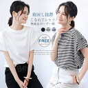 Tシャツ レディース 半袖 夏 秋 春 無地 ゆったボーダー柄 ゆったり カジュアル 大きいサイズ おしゃれ シンプル(4)