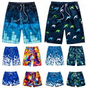 水着 メンズ レディース サーフパンツ カップル ビーチウェア ご夫婦 ペアルック ビーチショーツ プール 夏 海水浴 水陸両用 速乾性 海水パンツ 海外旅行 新婚旅行