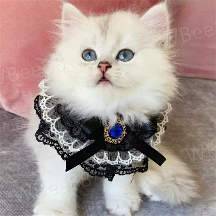 ペットスタイ ビブ 首輪 付け襟 レース超可愛い 涎掛け よだれかけ リボンつき 姫風 おしゃれ メーキャ..