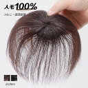 女性用 ウィッグ レディース 人毛100% ヘアピース 隠し 人毛 頭頂部 部分ウィッグ レディース メンズ カバー つむじ 自然 脱毛 トップカバー 増毛 女...