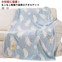 お昼寝 ブランケット もこもこ ふわふわ ひざ掛け あったか 春夏 秋冬 毛布 かわいい 100×75cm 100×150cm 150×120cm オフィス 車...