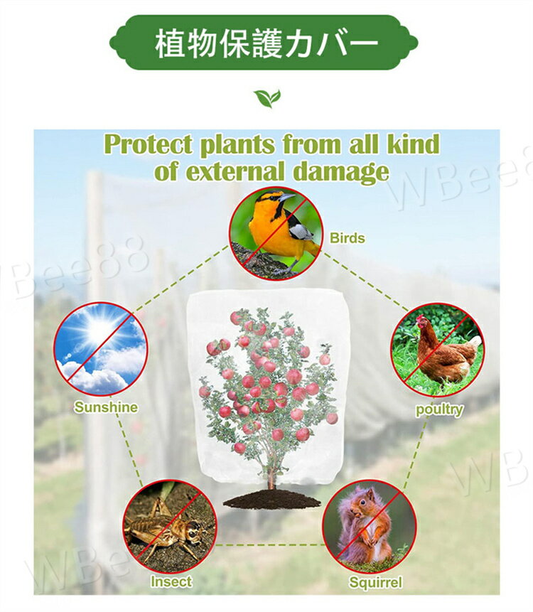 果樹園 DIY ベランダ 植物保護カバー 防鳥...の紹介画像3