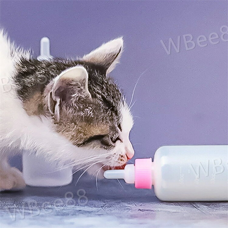 ペット用哺乳瓶 哺乳器 50ml 子猫 子犬 小動物 メモリ付き ミルクフィーダー ミル...