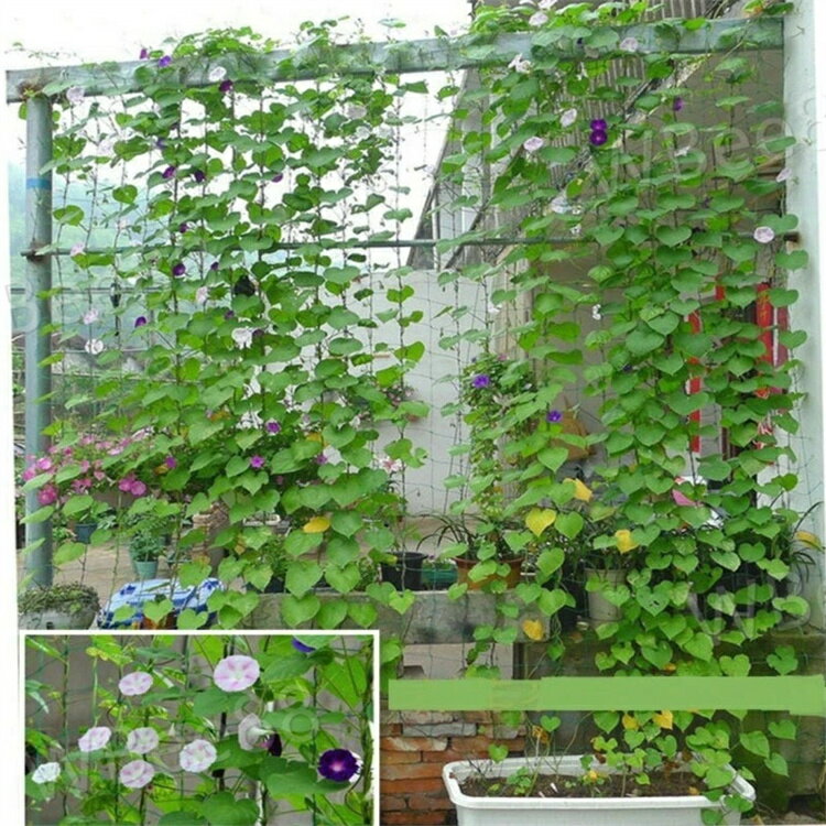 園芸ネット つる栽培ネット 幅0.9m×長さ1.8m 10cm角目 野菜誘引 つる性植物 キュウ...