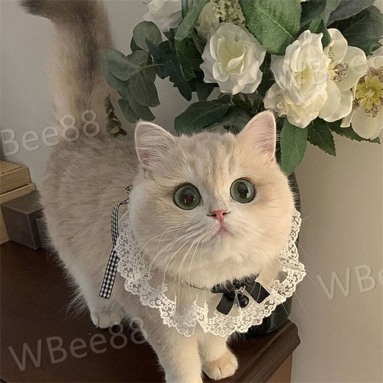 ペット用スタイ 犬用 猫用 よだれかけ チョーカー アクセサリー 首飾り フリル レ...