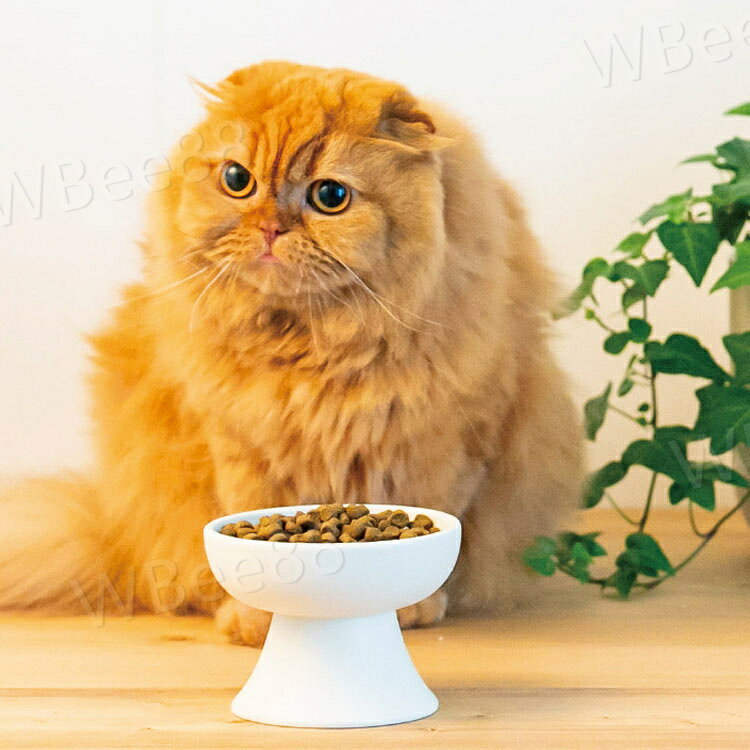 WBee88の2個セット！猫食器 食べやすい 陶器ボウル 脚付フードボウル 高さ 猫 犬 えさ皿 かわいい ペット食器 ねこ 餌入れ 水入れ 犬猫用 給餌器 陶器 食器台 フードボールスタンド 猫皿 電子レンジ・食器洗浄機対応｜アングル3