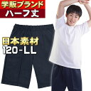 しっかり国産素材 ハーフパンツ 体操服 紐なし 120 130 140 150 S M L LL 小学生 子供服 キッズ ジュニア 学校 体操着 ハーフパンツ スクール体操服専門メーカー 日本素材を海外生産 しっかり…