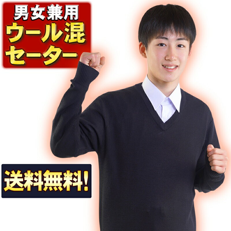 学生服 セーター 暖かウール レビュー投稿で500円OFFクーポン 制服 男女兼用 濃紺 通学用 Vネック スクールセーター ネイビー 高校生 中学生 小学生 男子 メンズ 男の子 女子 女の子 ユニセックス ニット アクリル 毛 130 140 150 160 170 175 180 S M L LL 3L