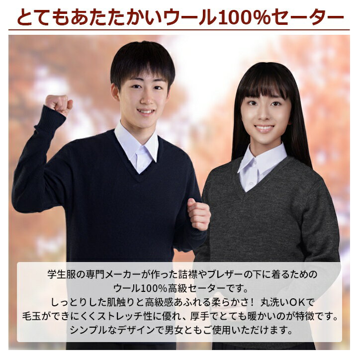 学生服 セーター ウール100% 純毛 濃紺 グレー 黒 制服 レビュー投稿で500円OFFクーポン 通学用 男女兼用 Vネック スクールセーター ネイビー ブラック 高校生 中学生 男子 メンズ 男の子 女子 女の子 レディス ユニセックス ニット 150 160 170 180 190 S M L LL 3L