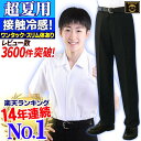 学生服 冬ズボン ウール50% ポリエステル50％ W64cm-110cm 黒 標準型 ノータック ワンタック