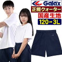 Galax 体操服 クォーターパンツ 120 130 140 150 S M L LL 3L ギャレックス正規品 濃紺 専門店版 幼稚園 小学生 中学生 高校生 子供服 キッズ ジュニア 学校体操着 学校関連体育団体の推薦品 メール便 送料無料