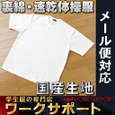 体操服 Tシャツ型 半袖 生地は日本製! 吸水速乾裏綿 120 130 140 150 160 165 170 175 小学生 中学生 高校生 体操着 白 ジュニア 子供服 洋品 メール便 送料無料 2