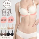 【2点セット】 ノンワイヤーブラ セット ショーツ セット セクシー ショーツ シームレス 脇高でしっかり補正 レディース 育乳ブラ 脇高ブラ 福袋 谷間 小胸...