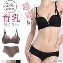 【上下セット】 送料無料ノンワイヤーブラ セット ショーツ セット セクシー ショーツ シームレス 脇高でしっかり補正 レディース 育乳ブラ 脇高ブラ 福袋 谷間 小胸 ブラセット下着 インナー ブラショーツ 美胸 美背 谷間 寄せる 盛れる ブラジャー