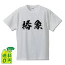 ＼ 期間限定 ポイント10倍 ／ 椿象 (カメムシ ) オリジナル プリント Tシャツ 書道 習字 【 動物・昆虫 】 メンズ レディース キッズ S M L LL XL XXL 120 130 140 150 G-S G-M G-L 【 オリジナルTシャツ 面白tシャツ 販促 制服 ユニフォーム イベント 等 】