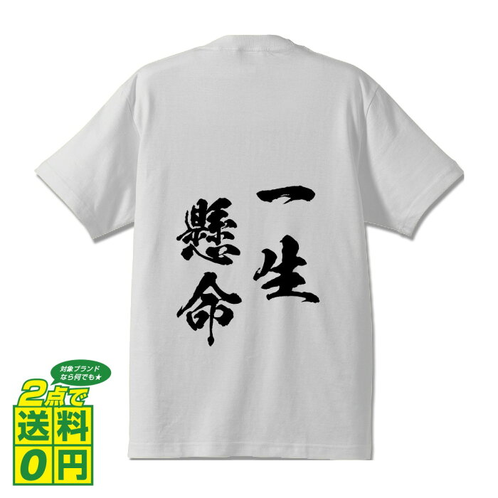 一生懸命 (いっしょうけんめい) オリジナル Tシャツ 書道家が書く プリント Tシャツ 【 四字熟語 】 メンズ レディース キッズ S M L LL XL XXL 120 130 140 150 G-S G-M G-L