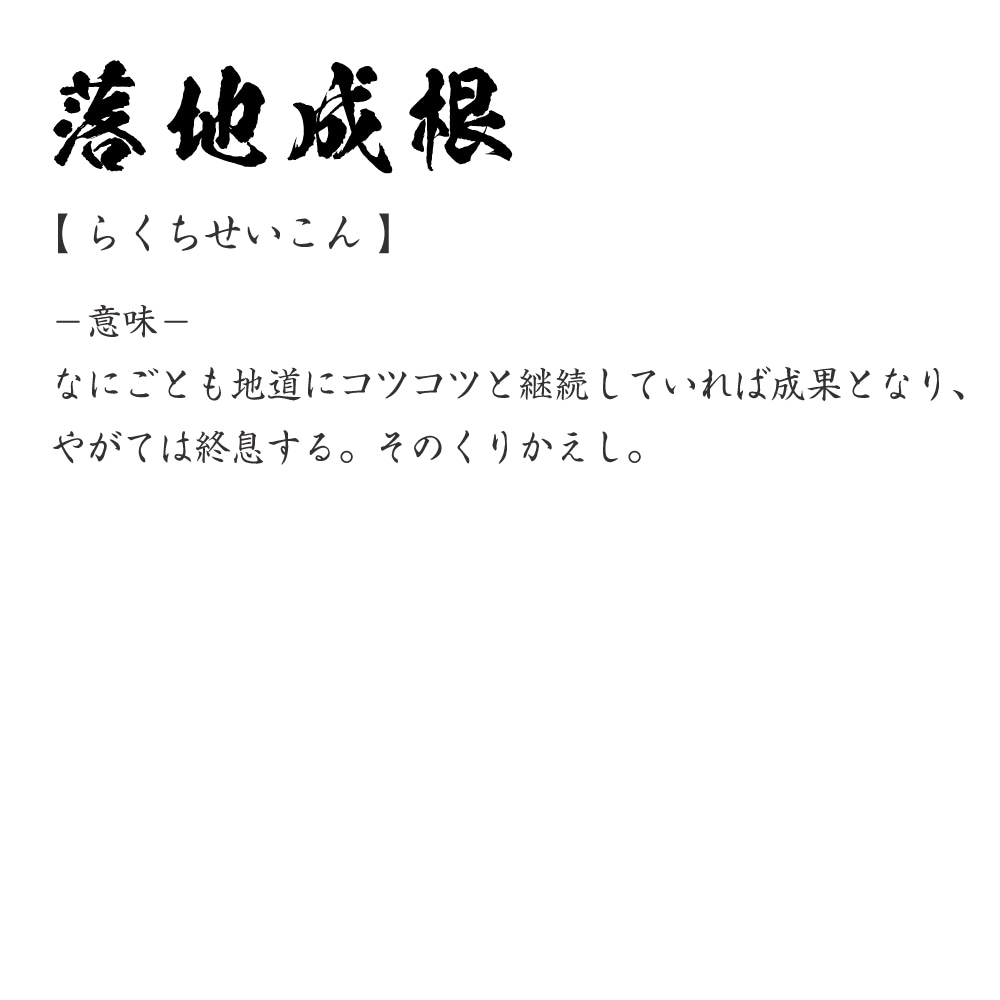 落地成根 (らくちせいこん) オリジナル Tシャツ 書道家が書く プリント Tシャツ 【 四字熟語 】 メンズ レディース キッズ S M L LL XL XXL 120 130 140 150 G-S G-M G-L