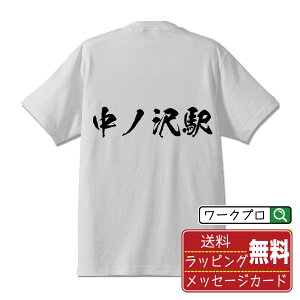 中ノ沢駅 (なかのさわえき) オリジナル プリント Tシャツ 書道 習字 【 駅名・鉄道 】 メンズ レディース キッズ S M L LL XL XXL 120 130 140 150 G-M G-L 【 漢字Tシャツ おもしろtシャツ 誕生日 クリスマス バレンタイン ギフト 等 】