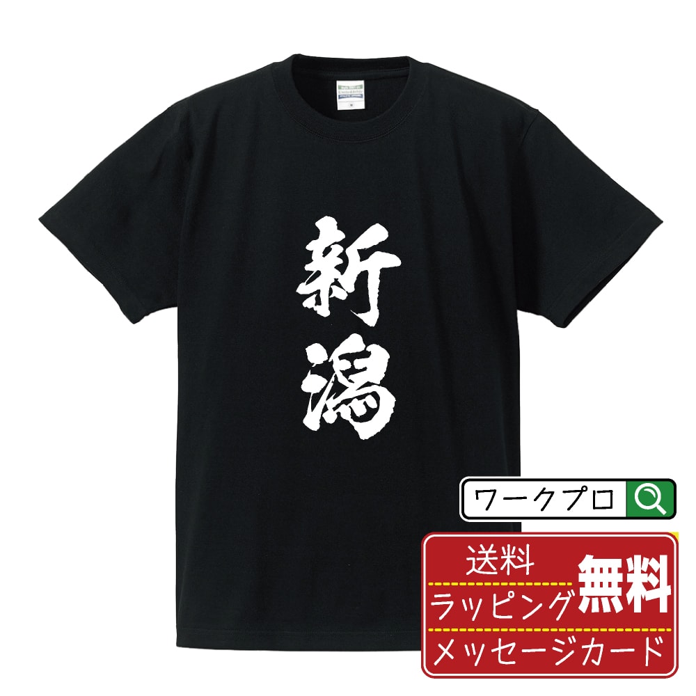 新潟 Tシャツ 半袖 書道家が書き上げた 筆文字プリント 漢字 習字 【 新潟 】 メンズ レディース キッズ 大きいサイズ S M L LL XL XXL 120 130 140 150 G-M G-L｜ギフト 推し活 応援 面白Tシャツ