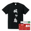 城ヶ島 オリジナル Tシャツ 書道家が書く おすすめ プリント Tシャツ 【 地名 】 メンズ レディース キッズ S M L LL XL XXL 120 130 140 150 G-M G-L 【 おもしろ Tシャツ 面白いtシャツ 男性 女性 子供 チーム サークル 等 】 2,980円