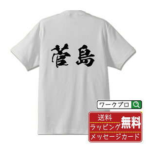 菅島 オリジナル Tシャツ 書道家が書く おすすめ プリント Tシャツ 【 地名 】 メンズ レディース キッズ S M L LL XL XXL 120 130 140 150 G-M G-L 【 漢字Tシャツ おもしろtシャツ 誕生日 クリスマス バレンタイン ギフト 等 】