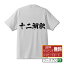 十二湖駅 (じゅうにこえき) オリジナル プリント Tシャツ 書道 習字 【 駅名・鉄道 】 メンズ レディース キッズ S M L LL XL XXL 120 130 140 150 G-S G-M G-L 【 名言Tシャツ おもしろtシャツ 父の日 母の日 敬老の日 こどもの日 等 】 2,980円
