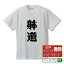 躰道 オリジナル Tシャツ デザイナーが描く 漫画 おすすめ マンガ 文字 プリント Tシャツ 【 スポーツ系 】 メンズ レディース キッズ S M L LL XL XXL 120 130 140 150 G-S G-M G-L 【 自分Tシャツ 座右の銘tシャツ おもしろ お祝い サプライズ 等 】 2,980円