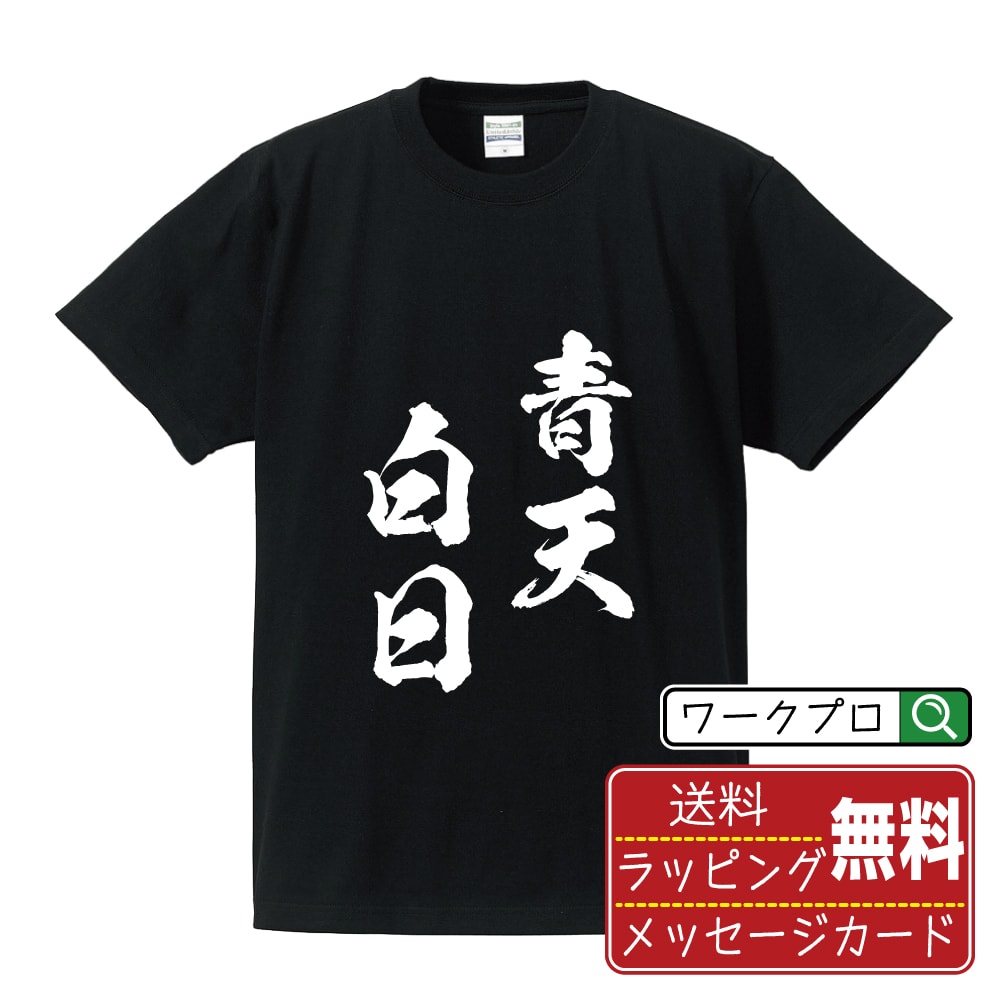 青天白日 (せいてんはくじつ) オリジナル プリント Tシャツ 書道 習字 【 四字熟語 】 メンズ レディース キッズ S M L LL XL XXL 120 130 140 150 G-S G-M G-L 【 文字Tシャツ おもしろtシャツ 誕生日 記念日 特別な日 プレゼント 等 】