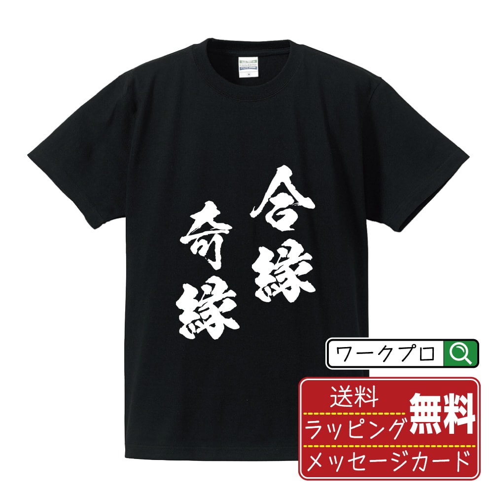 合縁奇縁 (あいえんきえん) 書道Tシャツ 半袖 名入れ対応可 漢字 習字 書道家が書き上げた 筆文字プリント 【 四字熟語 】 メンズ レディース キッズ 大きいサイズ S-XXL 120-150｜ギフト 父の日 プレゼント 面白Tシャツ