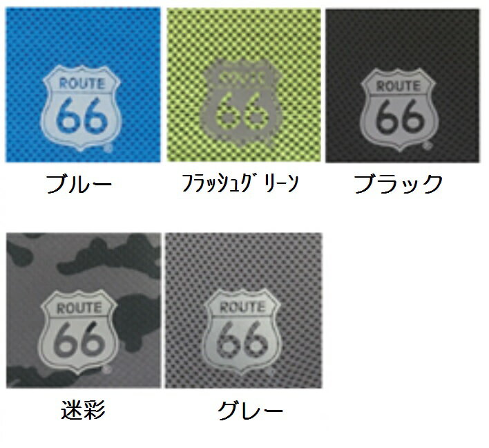 66-49���롼��66���䴶������