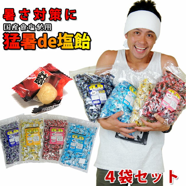 【送料無料】 塩飴 業務用 猛暑de塩飴 1kg ×4袋 【