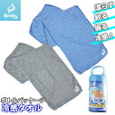 富士手袋工業 冷感グッズ 冷感タイプ(ボトル入りタイプ) 74-49