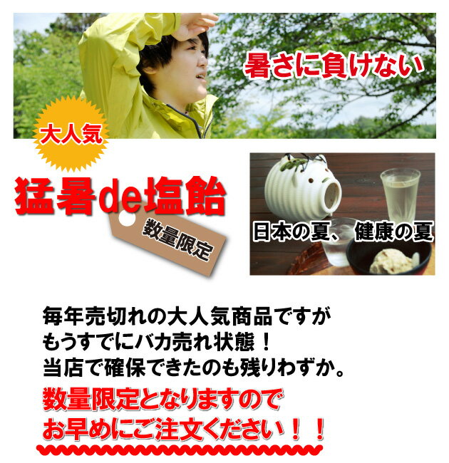 塩飴 業務用 猛暑de塩飴 1kg / 熱中症対策 塩飴 熱中症対策グッズ 国産塩 塩あめ ...