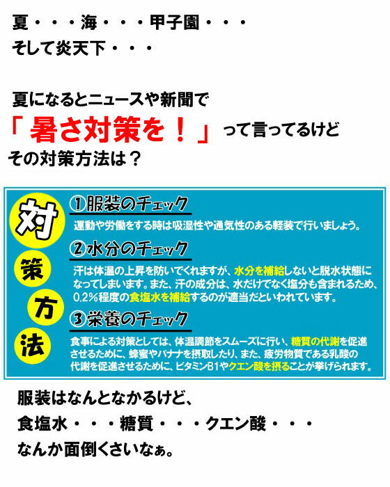 塩飴 業務用 猛暑de塩飴 1kg / 熱中症対策 塩飴 熱中症対策グッズ 国産塩 塩あめ ...