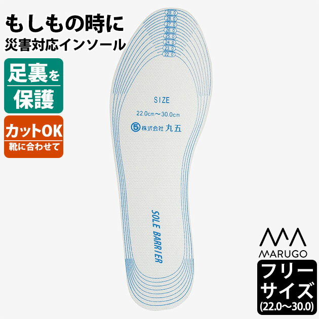 踏み抜き防止 インソール メンズ レディース 防災グッズ 災害グッズ 防災 災害支援 自治会 ボラン ...