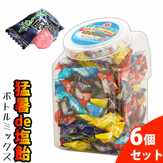 【スーパーSALE】 【あす楽】【6個セット】 塩飴 業務用 猛暑de塩飴 ボトルミックス 800g / 塩あめ 熱中症対策 しおあめ 熱中症対策グッズ アメ キャンディー 大袋 熱中症 塩分補給 ライブ イベント アウトドア 作業 レモン 梅 ブルーベリー サイダー