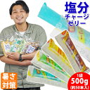 塩分チャージゼリー 1袋 500g 坂製菓 熱中症対策 選べる4味 / 塩ゼリー 夏対策商品 レモン グレープ サイダー ライチ 熱中症対策グッズ 大袋 熱中症 塩分補給 イベント アウトドア 部活 差し入れ 現場 業務用 こんにゃくゼリー 50本 個包装