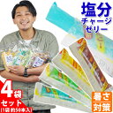 塩分チャージゼリー 4袋セット 1袋 500g 坂製菓 熱中症対策 / 塩ゼリー 夏対策商品 レモン グレープ サイダー ライチ 熱中症対策グッズ 大袋 熱中症 塩分補給 イベント アウトドア 部活 差し入れ 現場 業務用 こんにゃくゼリー 50本 個包装