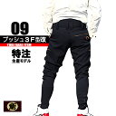 鳶 カセヤマ ブッシュ3F型改 【特注 高強度ポリストレッチ】 ズボンのみ 09-259 高級鳶服 特注作業服