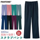 XNupc PANTONE pg FOLK tH[N Xg[gpc   fB[X Y  킢 pc  fo-6003sc