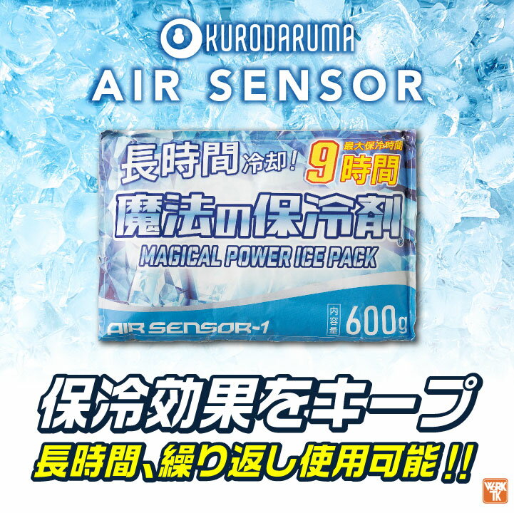 クロダルマ 保冷剤600g 単品 春夏 秋冬 ...の紹介画像2