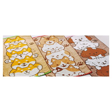 【メール便発送】つみねこ　ミニバスタオル　50cm×100cm　かわいい　海　川　プール　猫　タオル