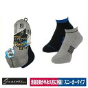靴下 先丸 消臭 ニオイクリア スニーカー 2足組 コーコス信岡 G-9237