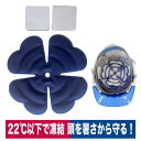 ヘルメットインナー アイスジェルパッド 5501911 冷花 REIKA NEO PCM 熱中症対策 帽子 頭冷却 自然凍結 ミズケイ