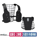 アイスマン PCM ベスト インナー 冷感 宇宙技術 熱吸収 軽量 ブラック フリーサイズ 熱中症対策 山真 2025 icmpv2